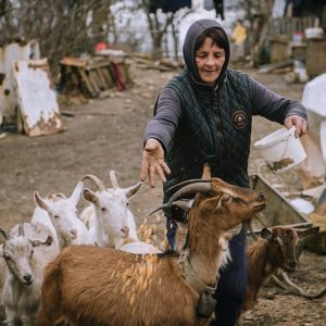 Cum a fost sa ne petrecem timpul cu neamurile gi păstă geal